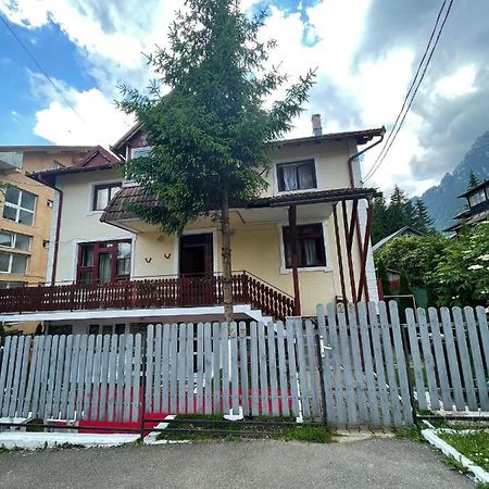 Buşteni Constantinescu A.酒店 外观 照片